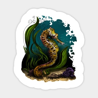 Seahorse Sticker